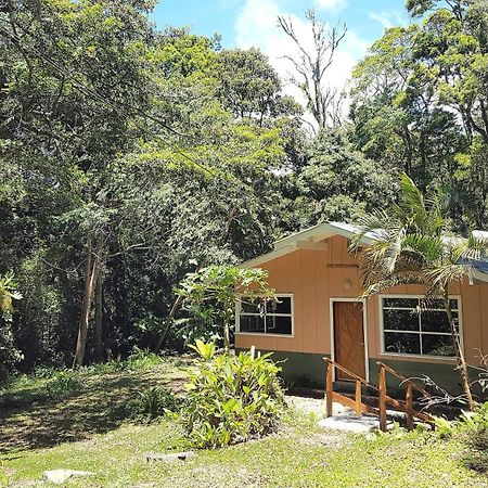 Forest Garden House Monteverde Kültér fotó