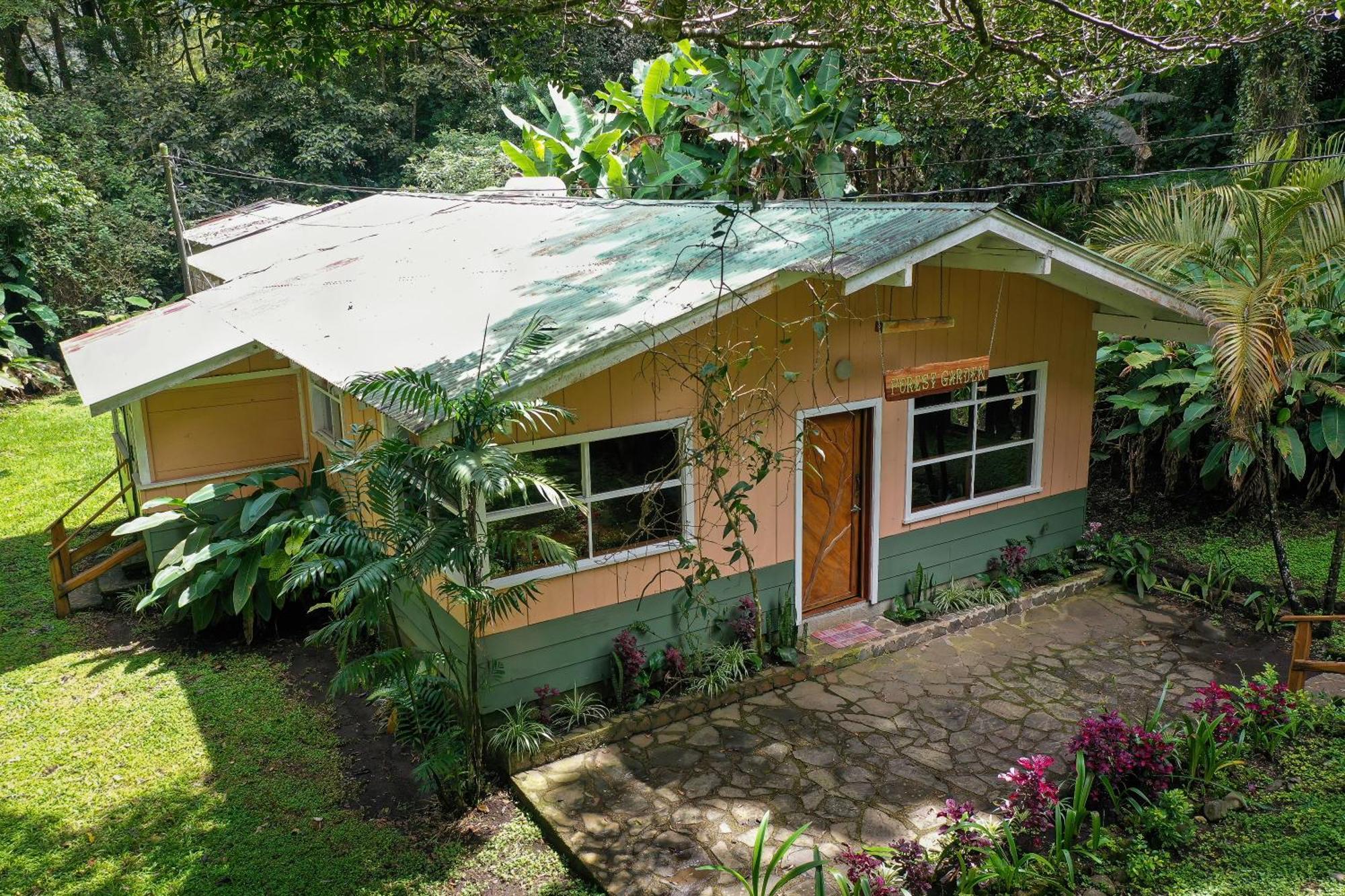 Forest Garden House Monteverde Kültér fotó