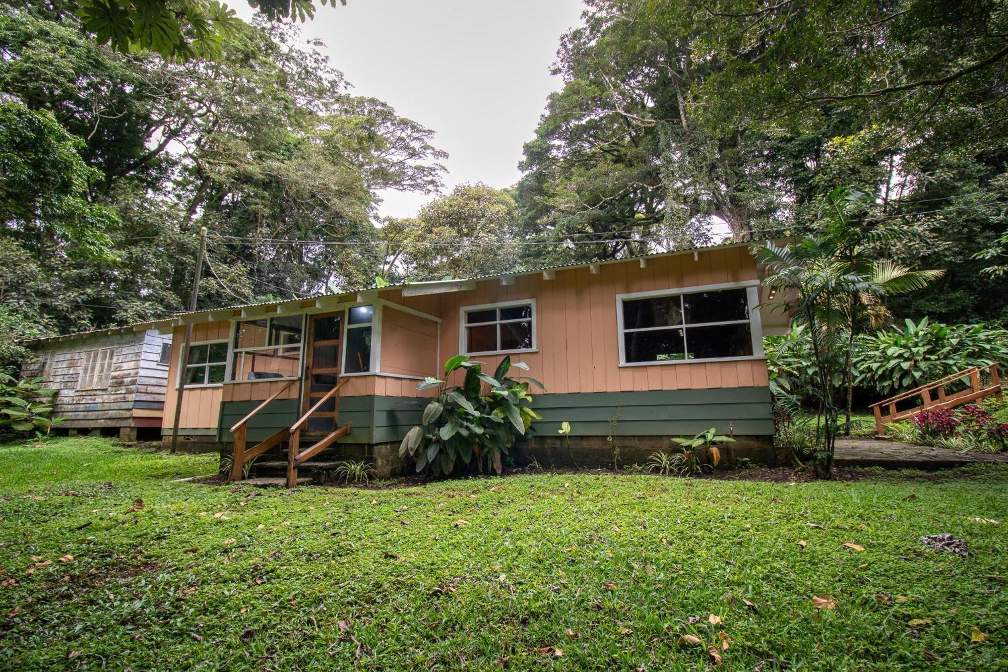 Forest Garden House Monteverde Kültér fotó