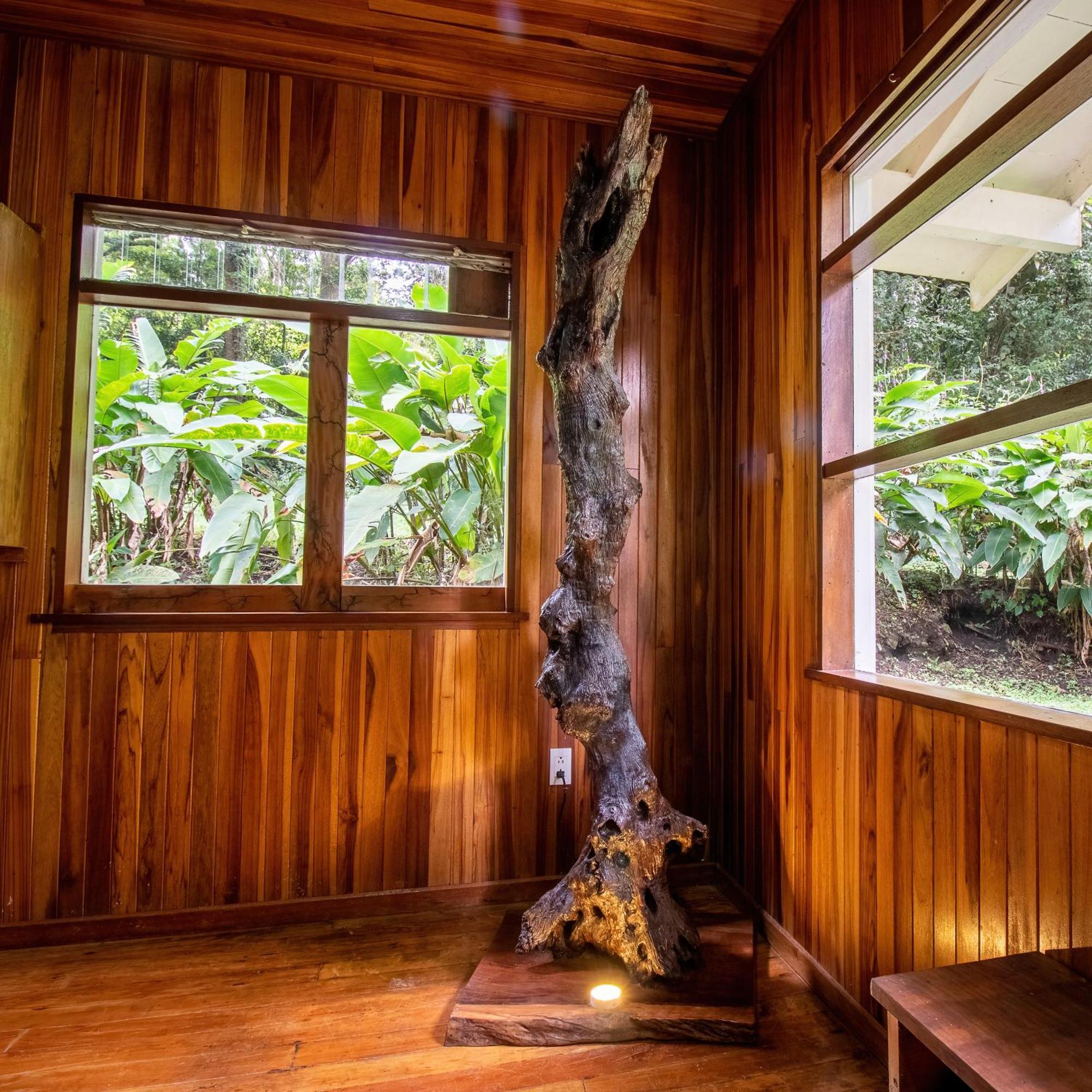 Forest Garden House Monteverde Kültér fotó