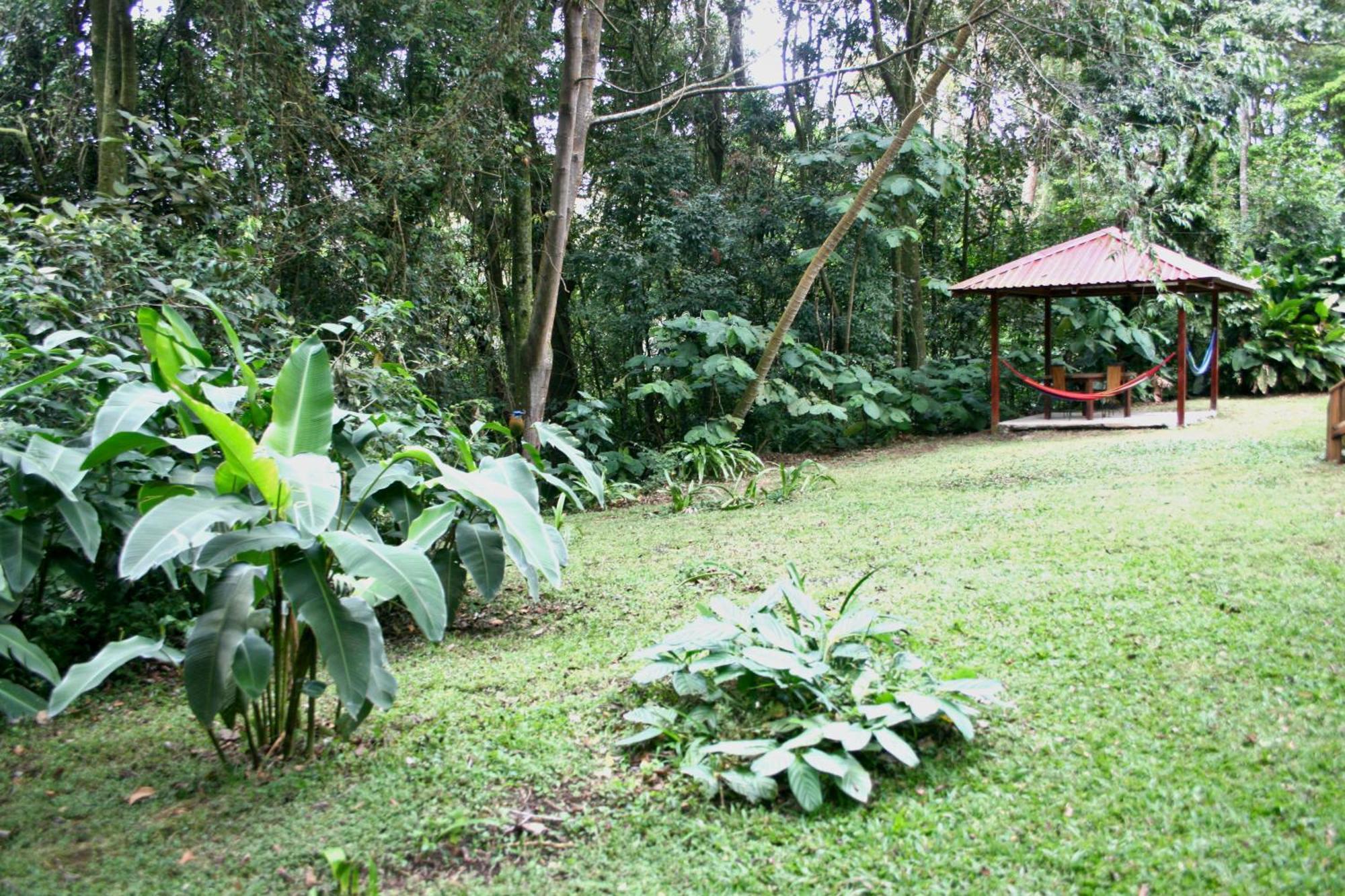 Forest Garden House Monteverde Kültér fotó