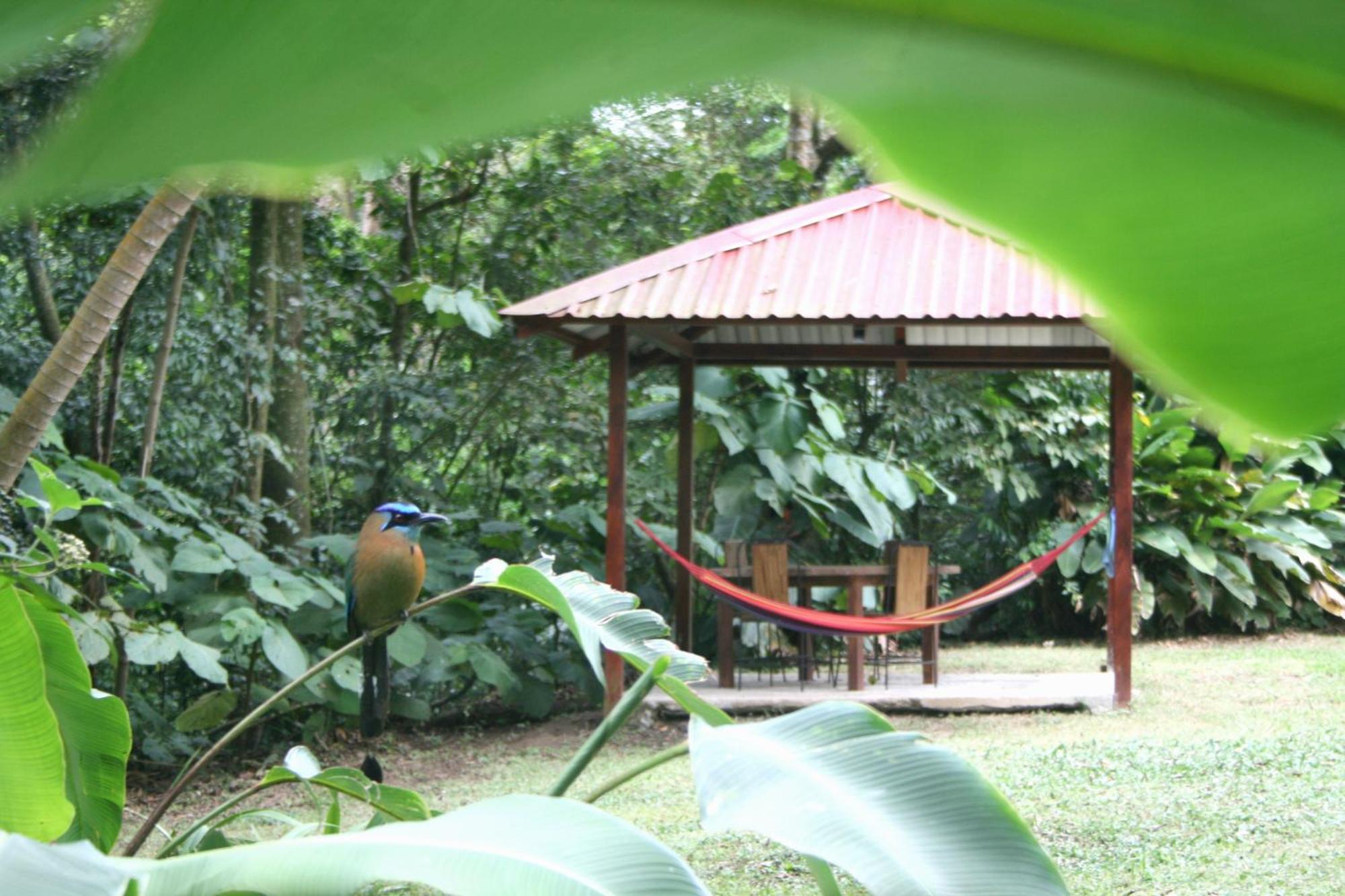 Forest Garden House Monteverde Kültér fotó