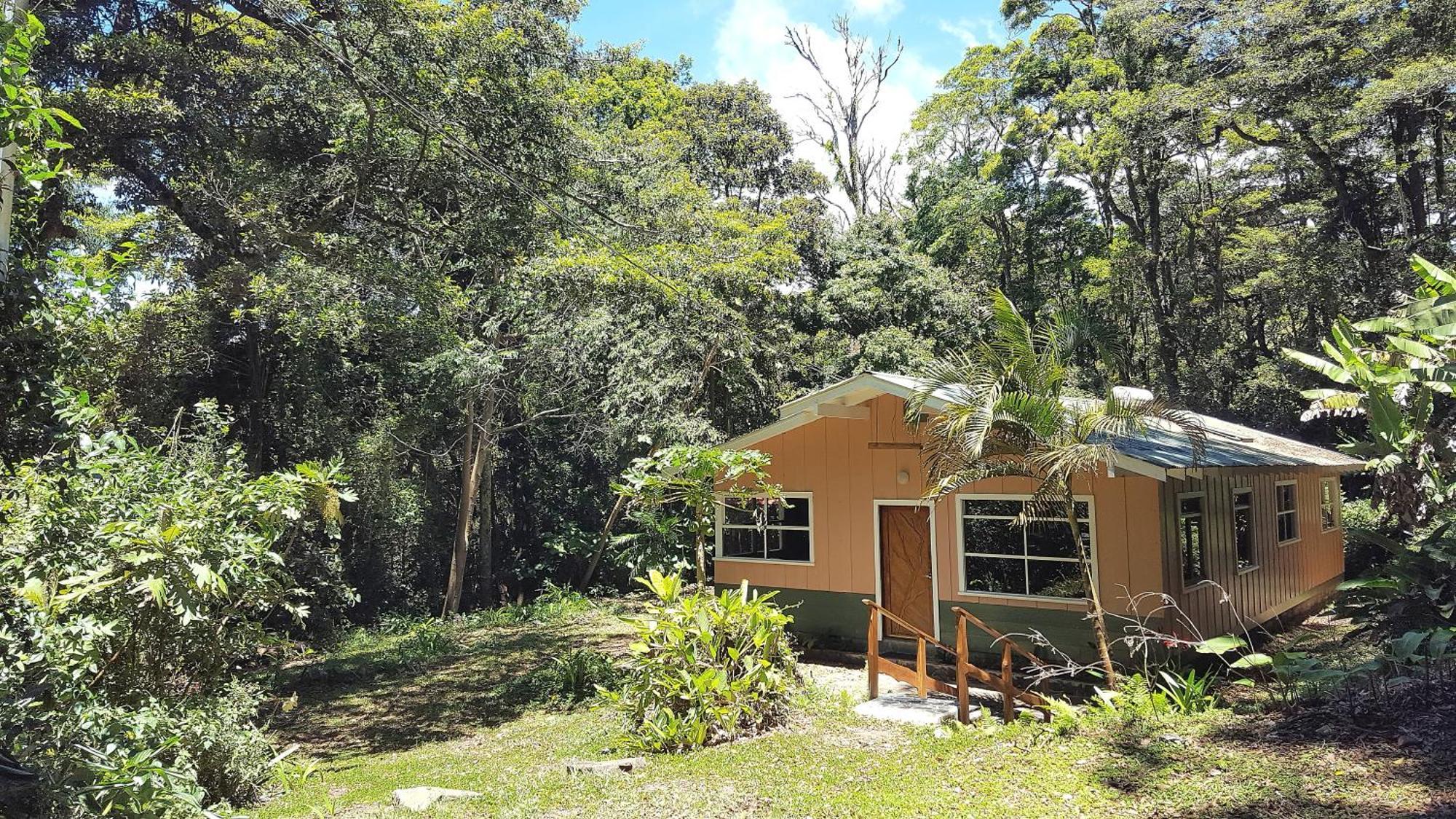 Forest Garden House Monteverde Kültér fotó